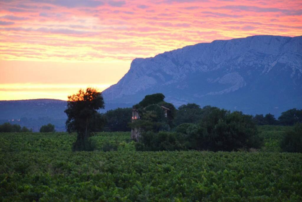 PourrieresVue Sainte Victoire, Proche Aix-En-Provence公寓 外观 照片